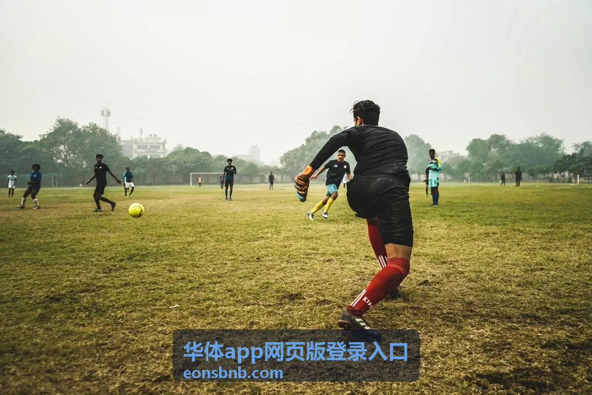 华体app网页版登录入口联赛与赛事分区