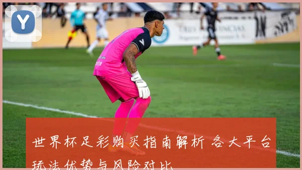 世界杯足彩购买指南解析 各大平台玩法优势与风险对比