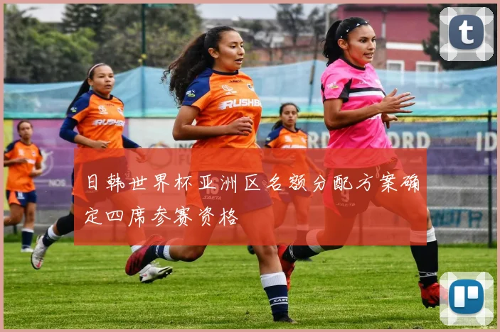 日韩世界杯亚洲区名额分配方案确定四席参赛资格